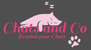 chatsandco-pensionchats-angouleme.fr